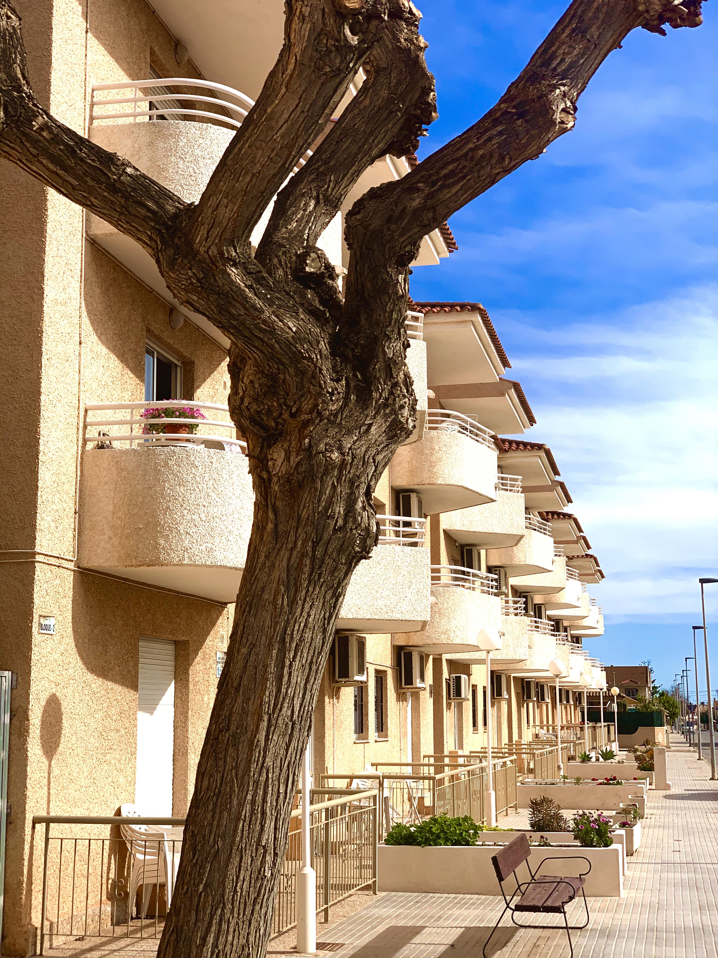 Destino De Sol De Alcazares Appartement *